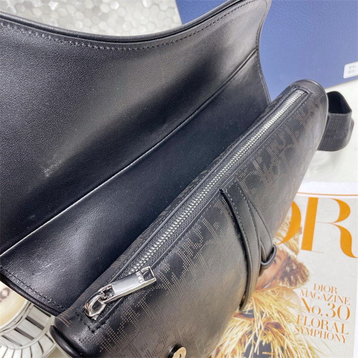 DIOR 디올 오블리크 갤럭시 새들백 M9813 2024/신상