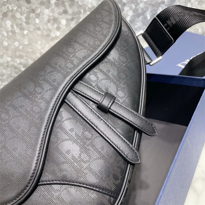 DIOR 디올 오블리크 갤럭시 새들백 M9813 2024/신상