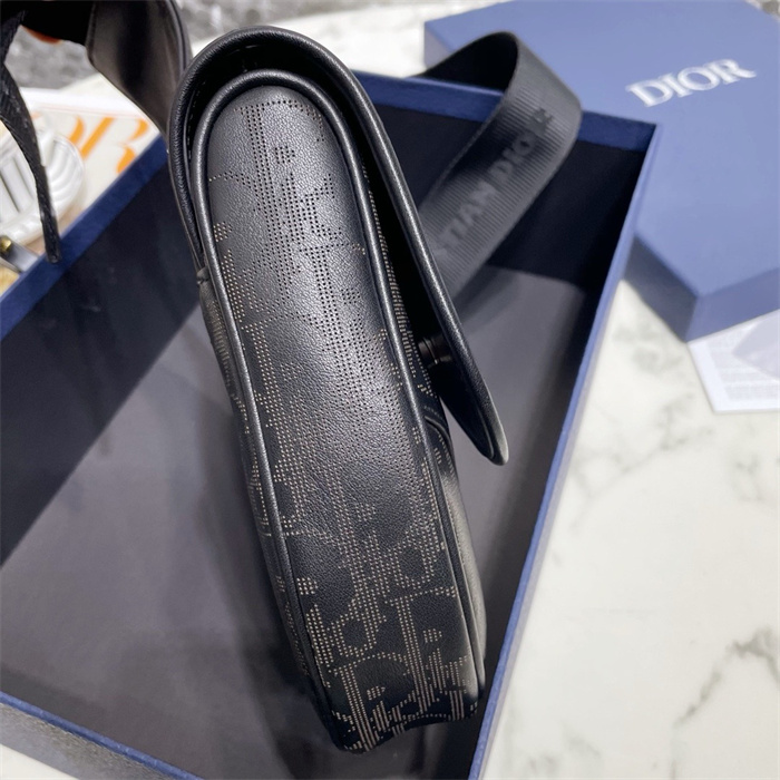 DIOR 디올 오블리크 갤럭시 새들백 M9813 2024/신상