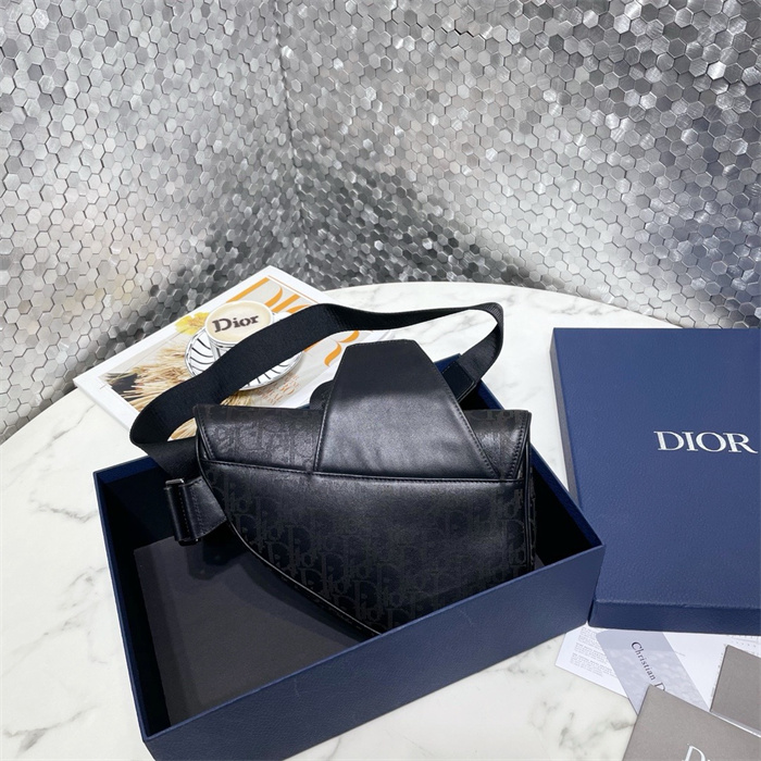 DIOR 디올 오블리크 갤럭시 새들백 M9813 2024/신상