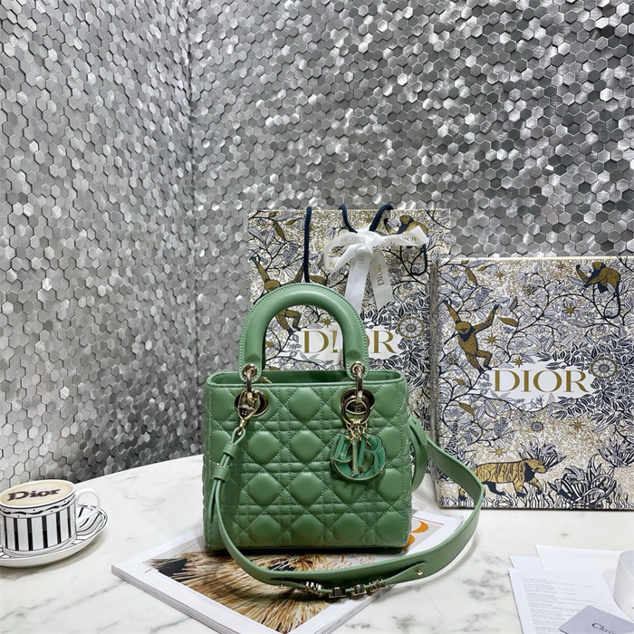 DIOR 디올 레이디백 M0538