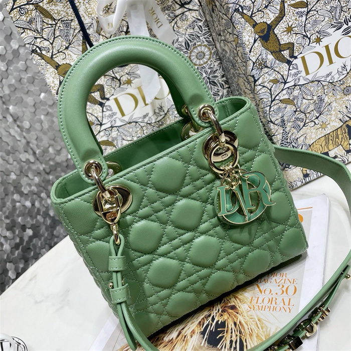 DIOR 디올 레이디백 M0538