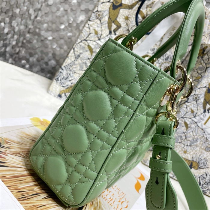 DIOR 디올 레이디백 M0538