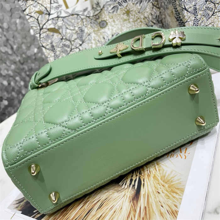 DIOR 디올 레이디백 M0538