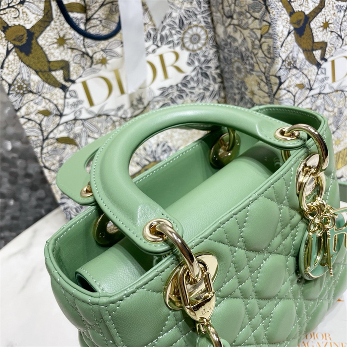 DIOR 디올 레이디백 M0538