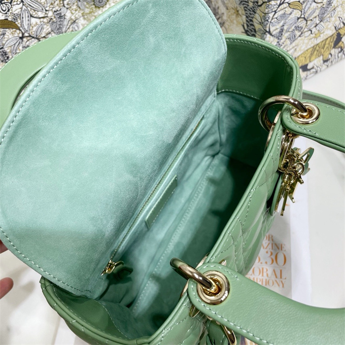 DIOR 디올 레이디백 M0538