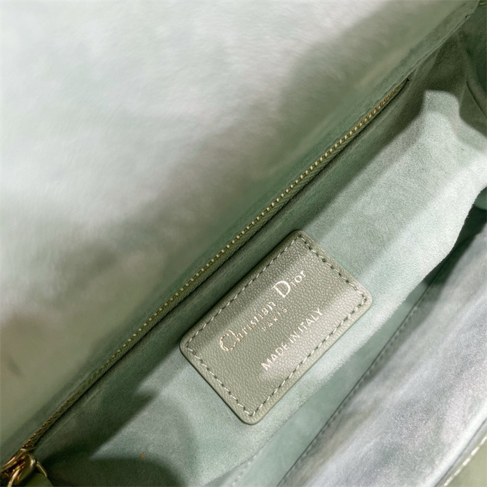 DIOR 디올 레이디백 M0538
