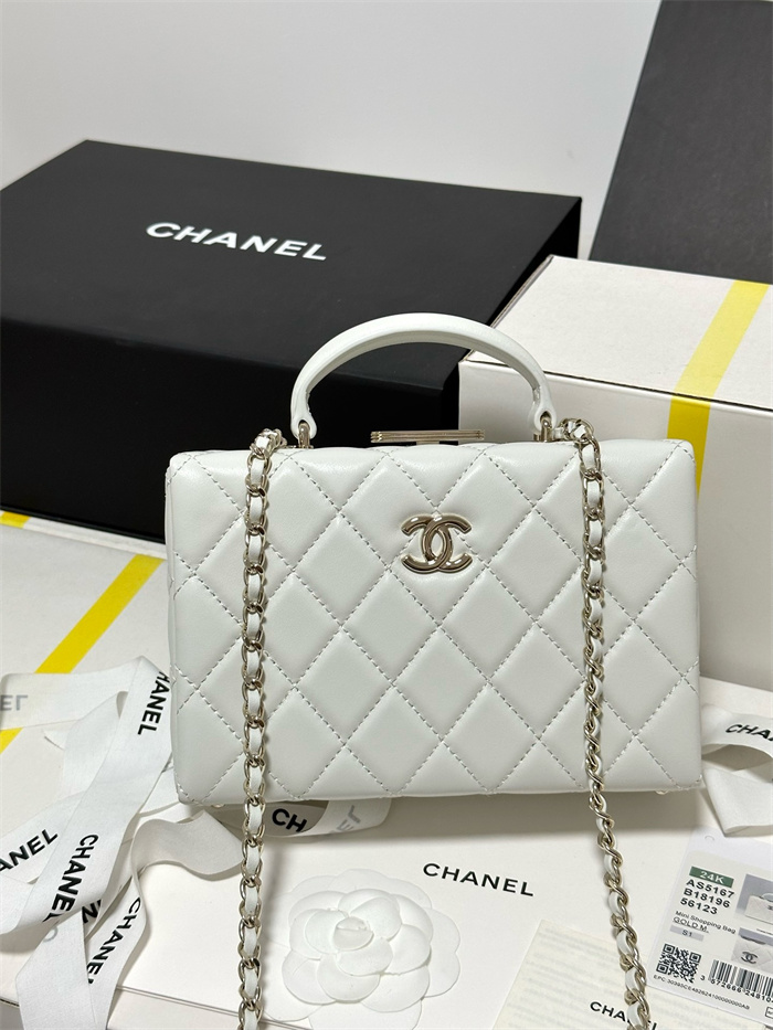 CHANEL 샤넬 스몰 박스백 AS5167 2024/신상 2COLOR