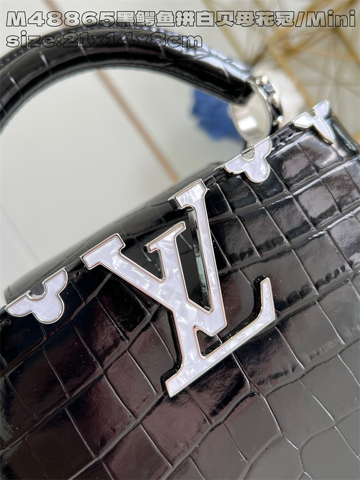 LOUIS VUITTON 루이비통 카푸신 미니 M48865 2024/신상