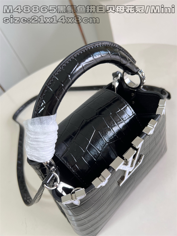 LOUIS VUITTON 루이비통 카푸신 미니 M48865 2024/신상