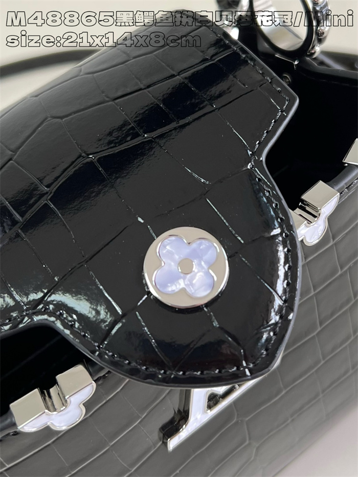 LOUIS VUITTON 루이비통 카푸신 미니 M48865 2024/신상
