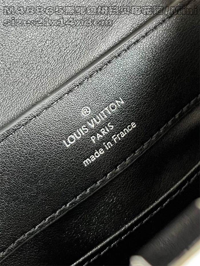 LOUIS VUITTON 루이비통 카푸신 미니 M48865 2024/신상