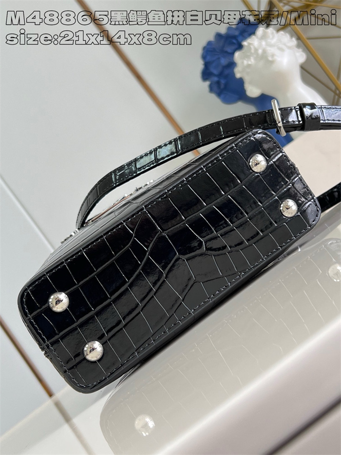 LOUIS VUITTON 루이비통 카푸신 미니 M48865 2024/신상