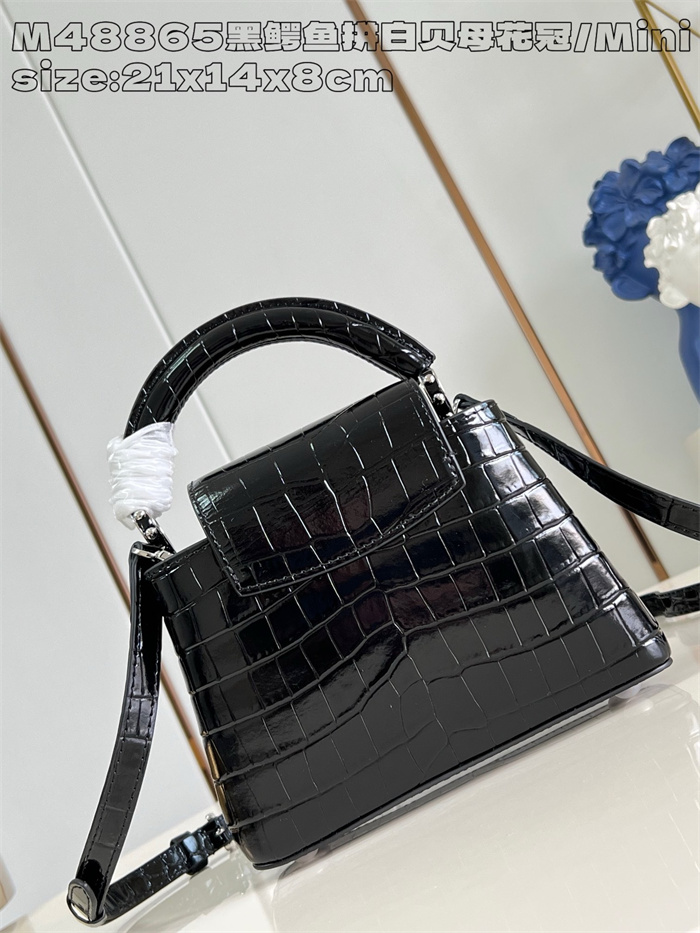 LOUIS VUITTON 루이비통 카푸신 미니 M48865 2024/신상