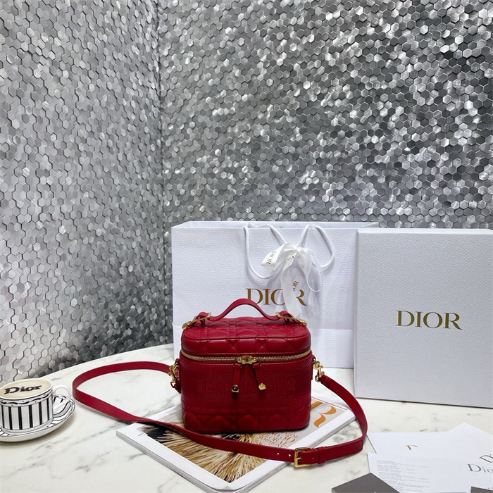 DIOR 디올 트래블 파우치백 S6554 2024/신상 4COLOR