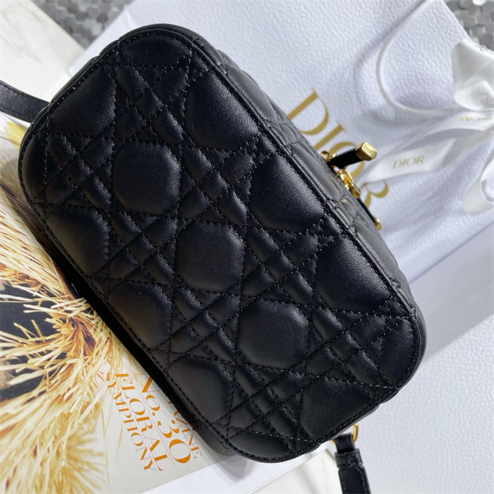 DIOR 디올 트래블 파우치백 S6554 2024/신상 4COLOR