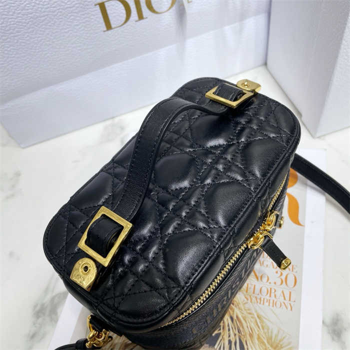 DIOR 디올 트래블 파우치백 S6554 2024/신상 4COLOR