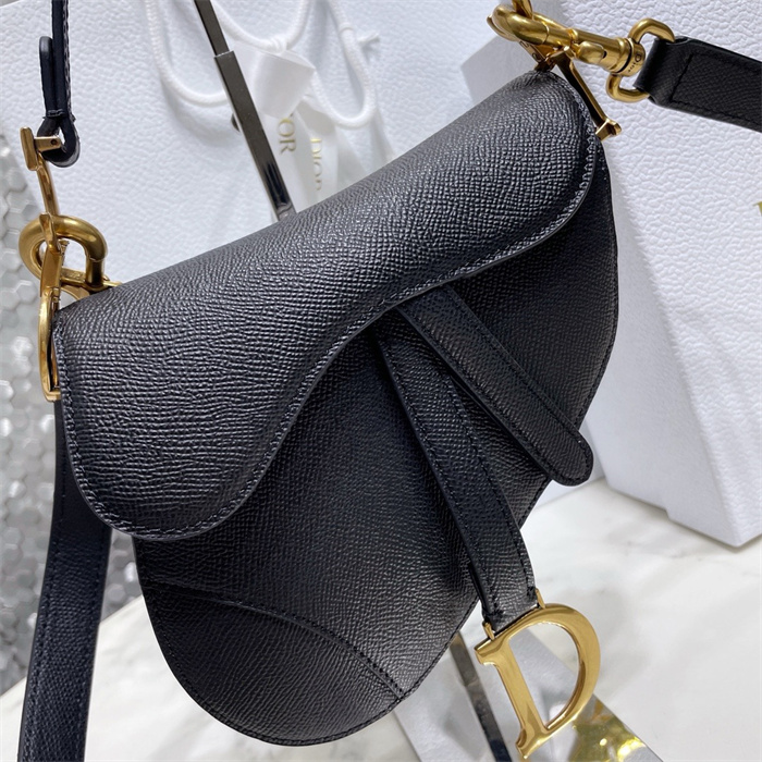 DIOR 디올 오블리크 새들백 M0447 2COLOR