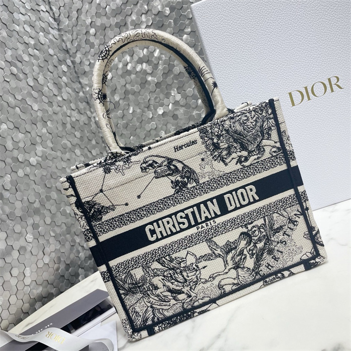 DIOR 디올 오블리크 스몰 북 토트백 M1286 2024/신상