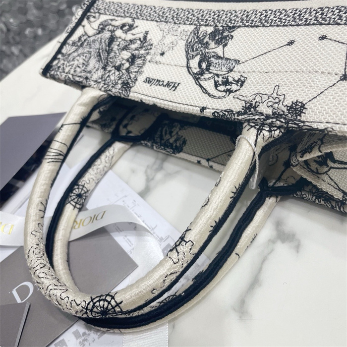 DIOR 디올 오블리크 스몰 북 토트백 M1286 2024/신상