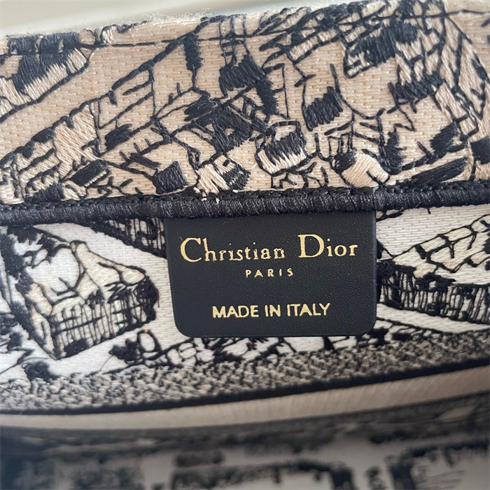 DIOR 디올 오블리크 스몰 북 토트백 M1286 2024/신상