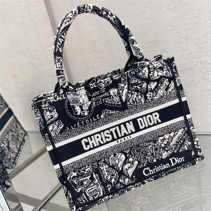 DIOR 디올 오블리크 스몰 북 토트백 M1286 2024/신상