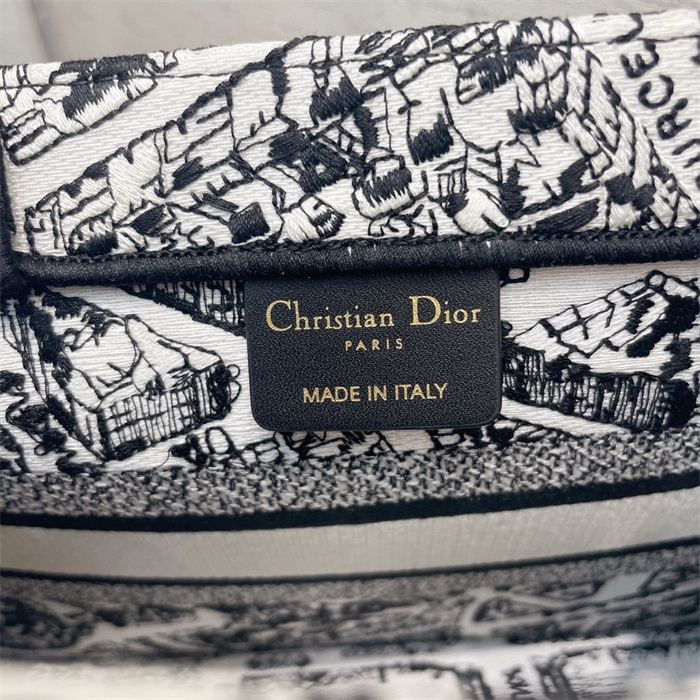 DIOR 디올 오블리크 스몰 북 토트백 M1286 2024/신상