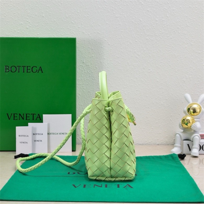 BOTTEGA VENETA 보테가베네타 안디아모 스몰 토트백 74630 2024/신상
