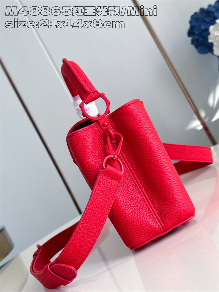 LOUIS VUITTON 루이비통 카푸신 미니 M48865 2024/신상
