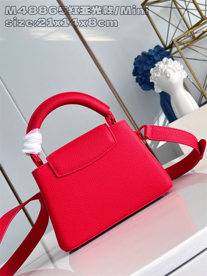 LOUIS VUITTON 루이비통 카푸신 미니 M48865 2024/신상