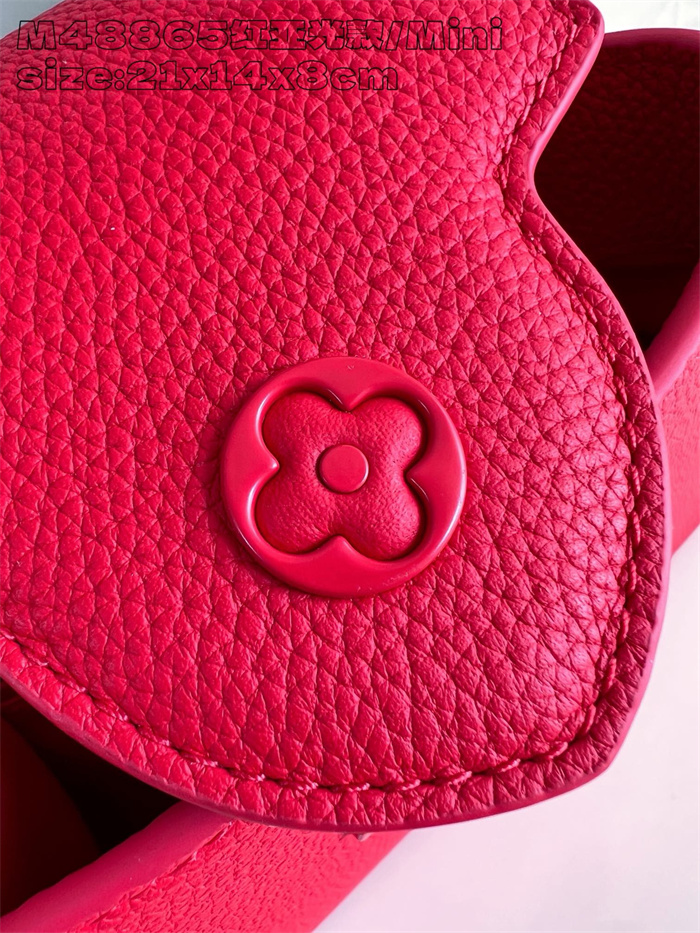 LOUIS VUITTON 루이비통 카푸신 미니 M48865 2024/신상