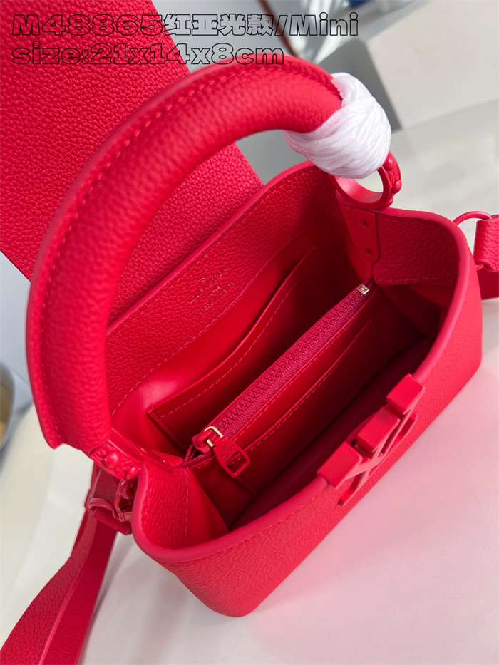 LOUIS VUITTON 루이비통 카푸신 미니 M48865 2024/신상