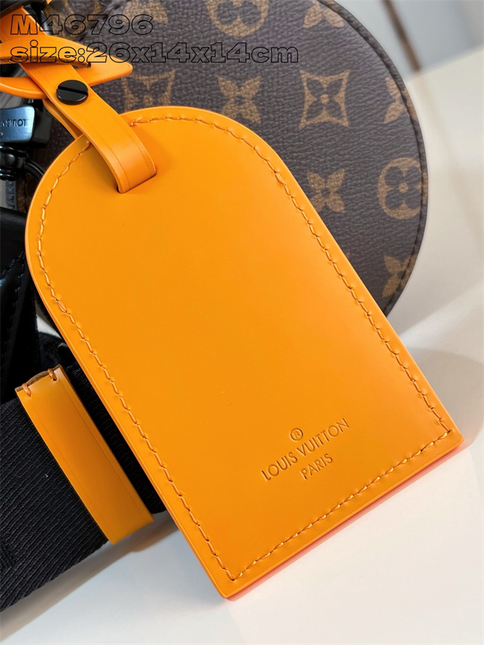 LOUIS VUITTON 루이비통 소프트 폴로숑 숄더백 PM M46796 2024/신상