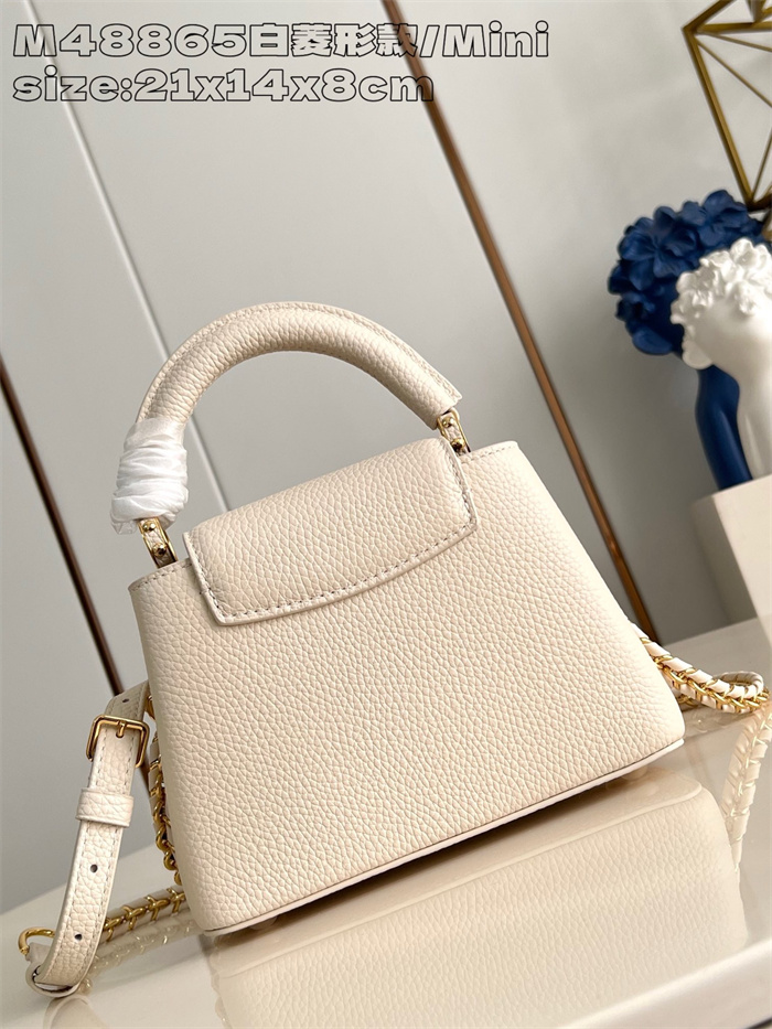 LOUIS VUITTON 루이비통 카푸신 미니 M48865 2024/신상