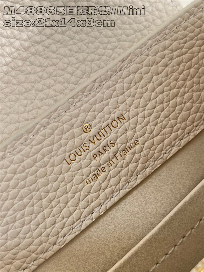 LOUIS VUITTON 루이비통 카푸신 미니 M48865 2024/신상