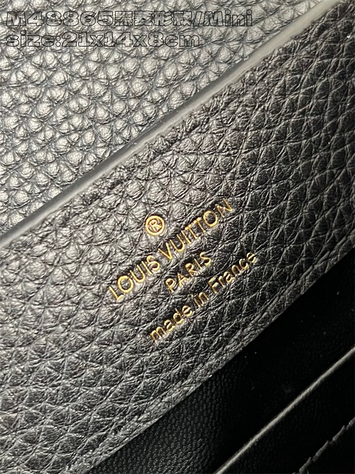 LOUIS VUITTON 루이비통 카푸신 미니 M48865 2024/신상