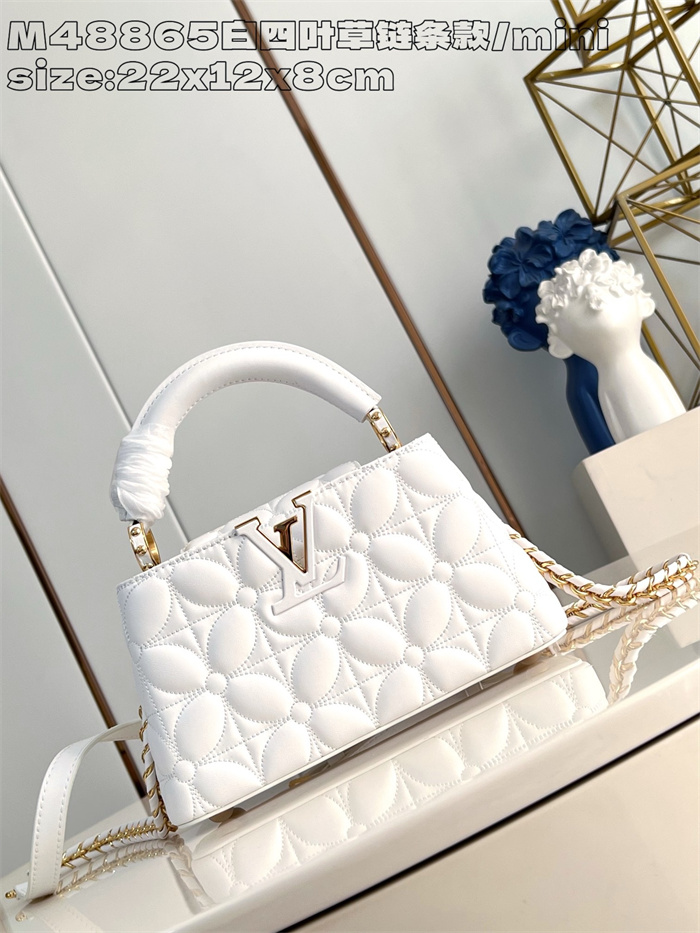 LOUIS VUITTON 루이비통 카푸신 미니 M48865 2024/신상