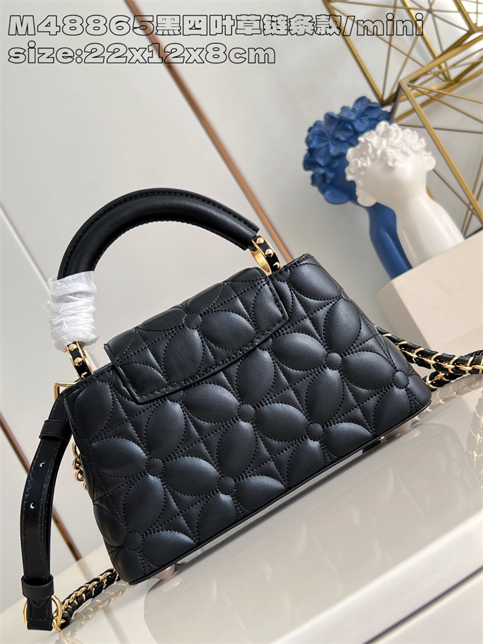 LOUIS VUITTON 루이비통 카푸신 미니 M48865 2024/신상