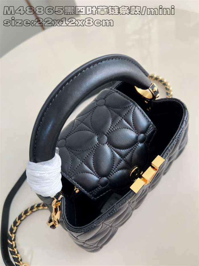 LOUIS VUITTON 루이비통 카푸신 미니 M48865 2024/신상