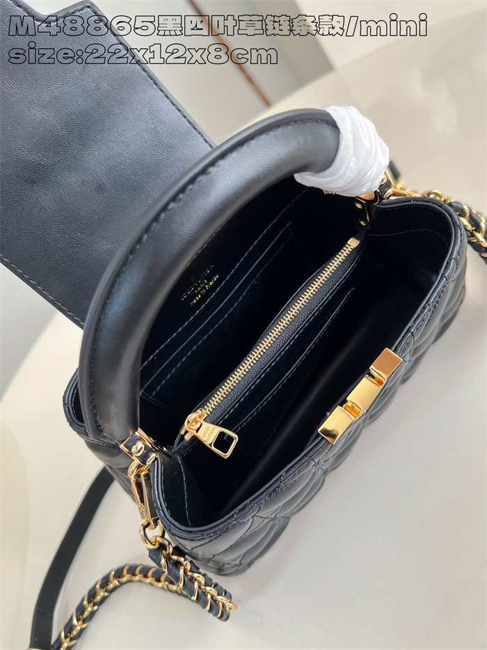 LOUIS VUITTON 루이비통 카푸신 미니 M48865 2024/신상