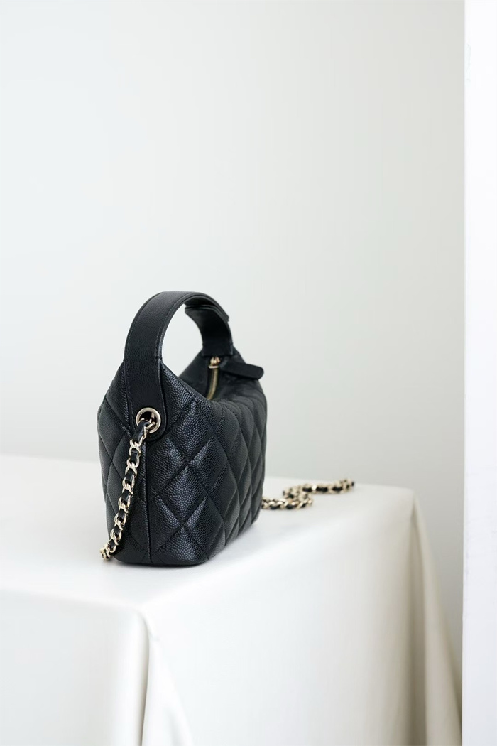 CHANEL 샤넬 크루즈 미니 체인 호보백 AP4386 2024/신상