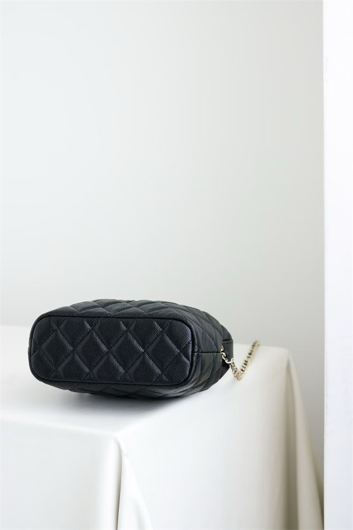 CHANEL 샤넬 크루즈 미니 체인 호보백 AP4386 2024/신상