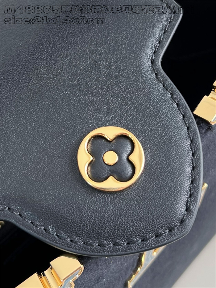 LOUIS VUITTON 루이비통 카푸신 미니 M48865 2024/신상