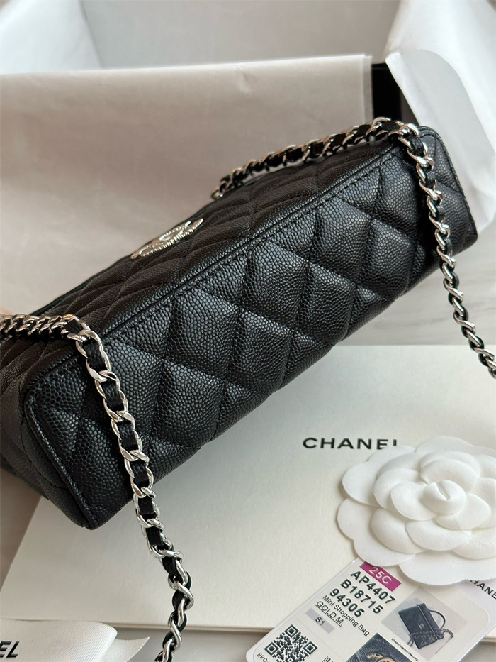 CHANEL 샤넬 코스메틱 파우치백 AP4407 2024/신상