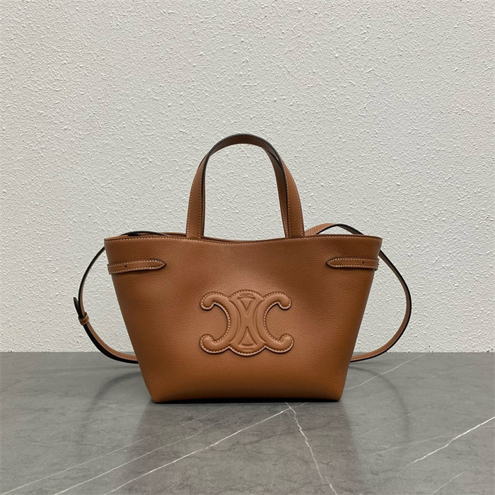 CELINE 셀린느 아나이스 카바스 스몰 토트백 118613 2024/신상 3COLOR