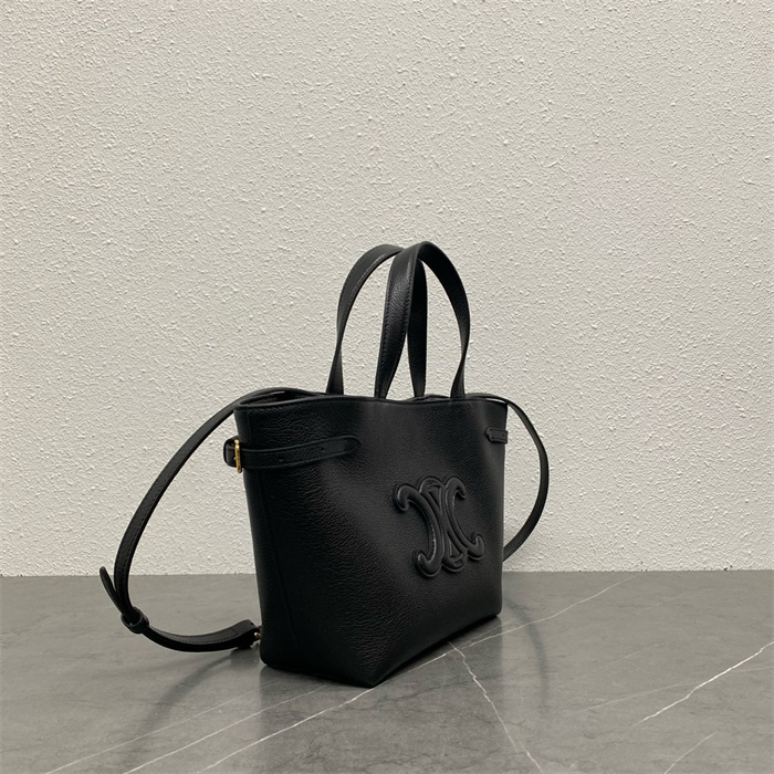 CELINE 셀린느 아나이스 카바스 스몰 토트백 118613 2024/신상 3COLOR