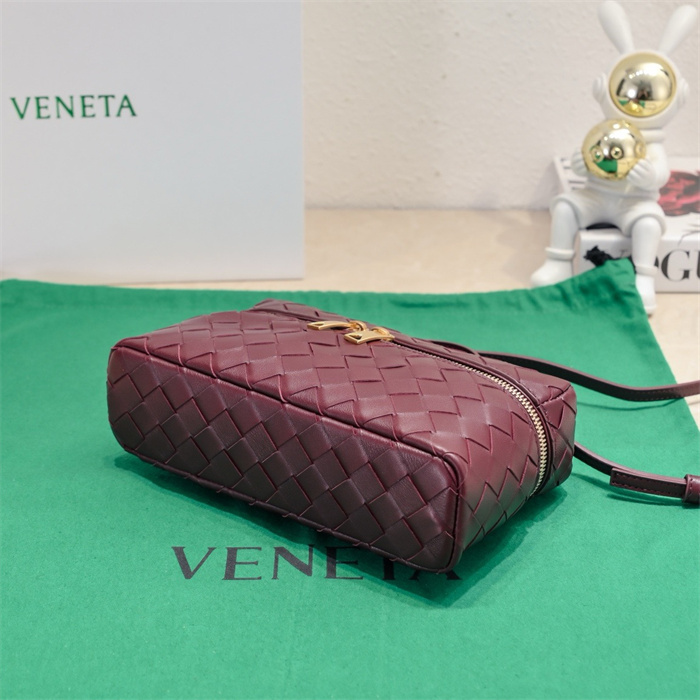 BOTTEGA VENETA 보테가베네타 배니티 케이스 B789109 2024/신상