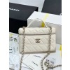 CHANEL 샤넬 코스메틱 파우치백 AP4407 2025/신상