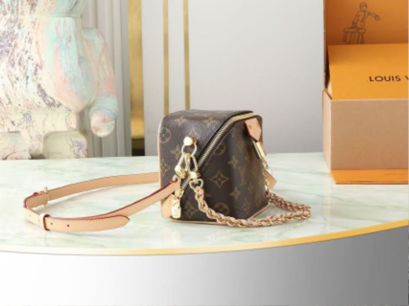 LOUIS VUITTON 루이비통 저스트 인케이스
