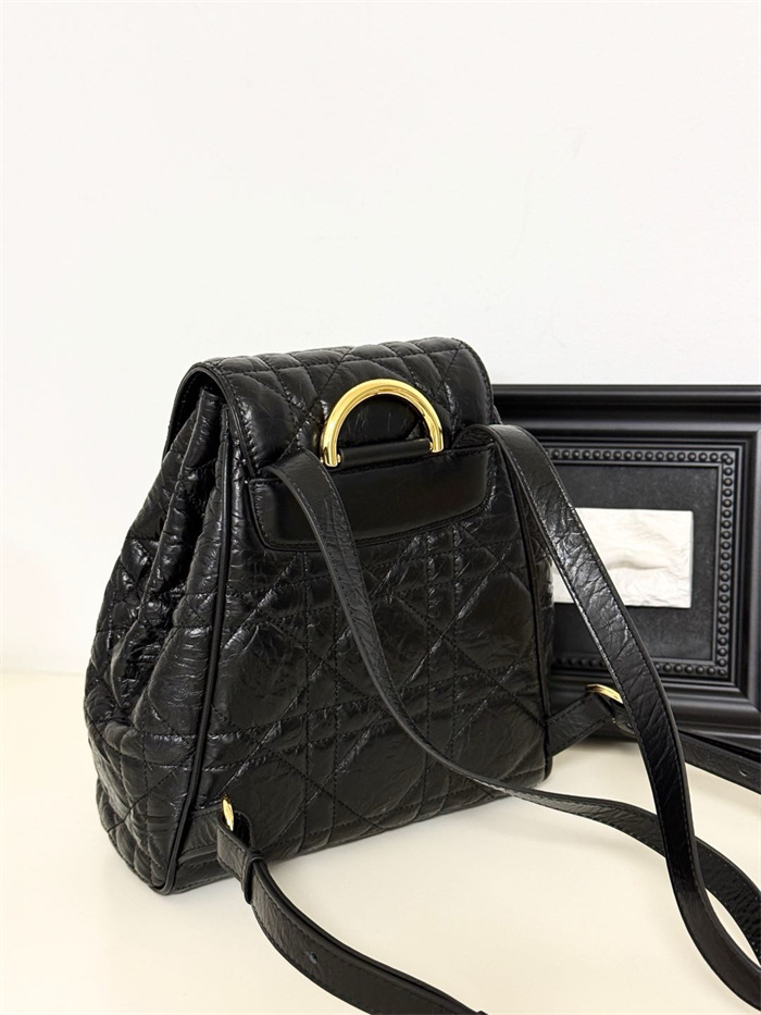 DIOR 디올 백팩 D66370